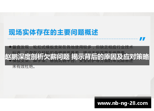 赵鹏深度剖析欠薪问题 揭示背后的原因及应对策略