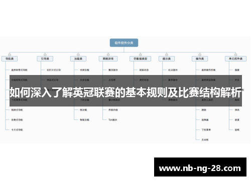 如何深入了解英冠联赛的基本规则及比赛结构解析
