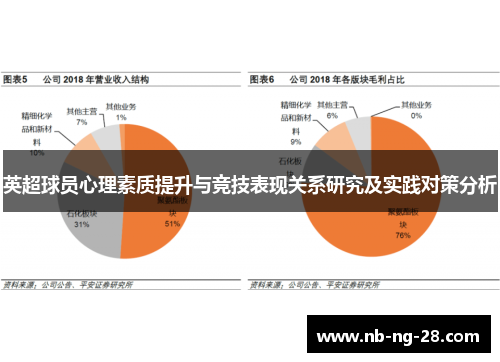 英超球员心理素质提升与竞技表现关系研究及实践对策分析 英超球员心理素质提升与竞技表现关系研究及实践对策分析