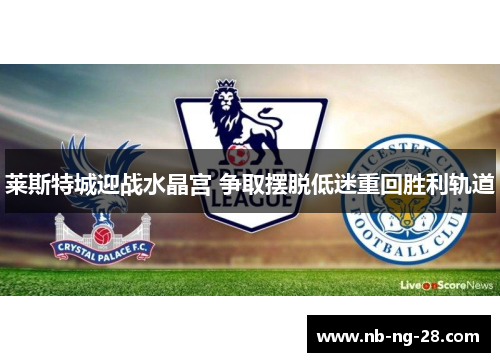莱斯特城迎战水晶宫 争取摆脱低迷重回胜利轨道